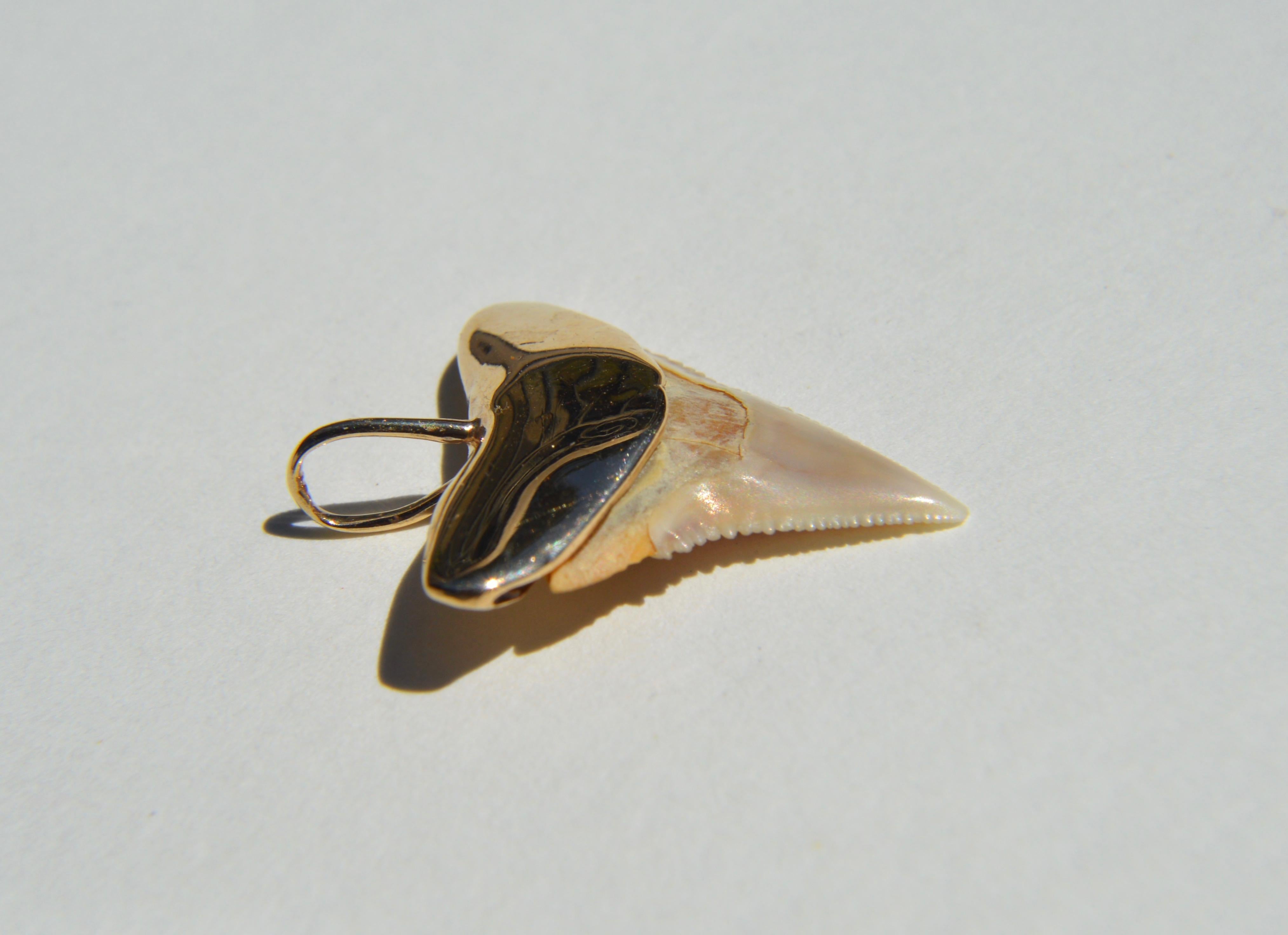 gold shark pendant