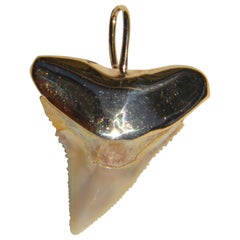 Vintage 14 Karat Gold Shark Tooth Charm Pendant