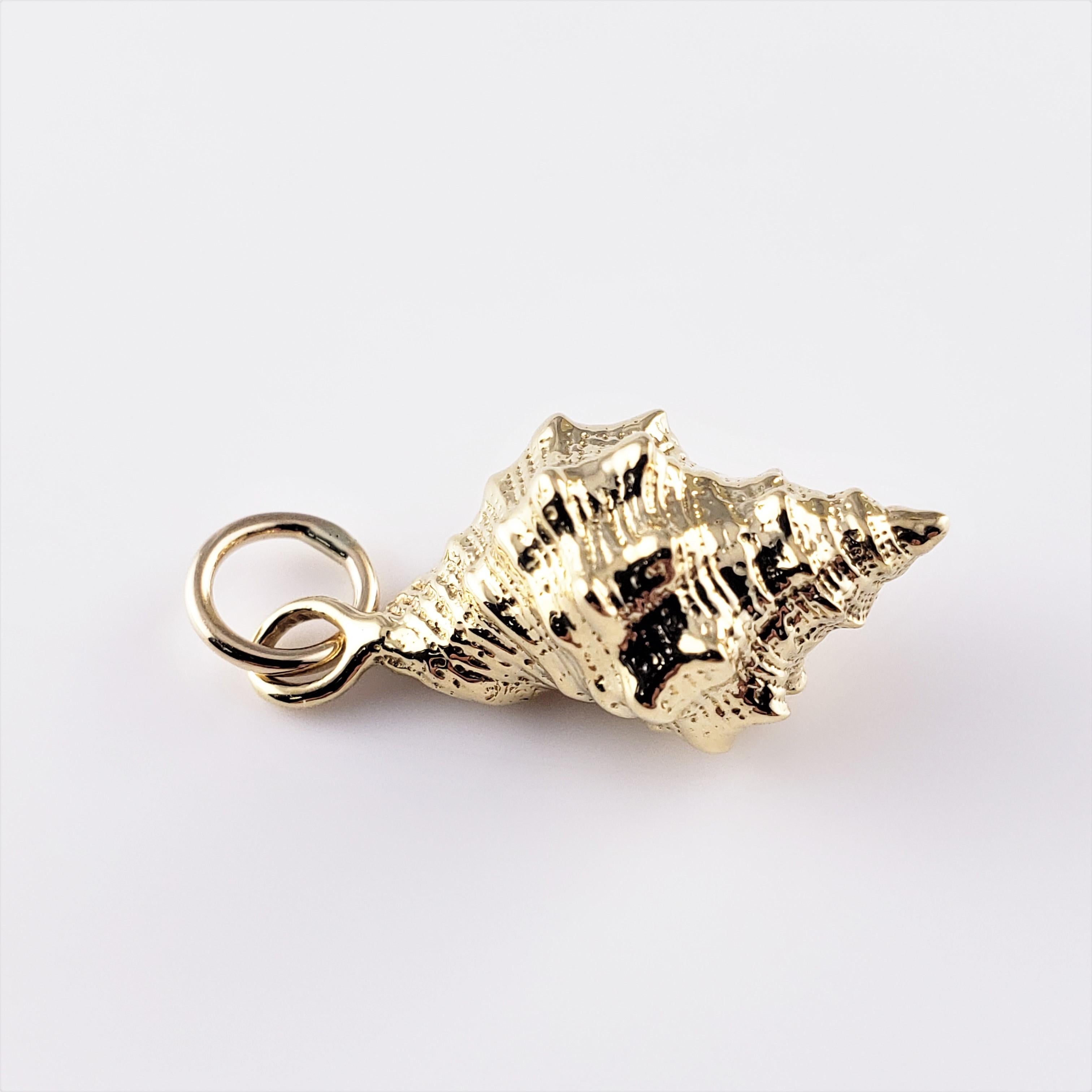 Vintage 14 Karat Yellow Gold Conch Shell Charm-

One of nature's treasures!

This lovely 3D charm features a miniature conch shell meticulously detailed in 14K yellow gold.

*Chain not included

Size: 21 mm x 11 mm (actual charm)

Weight: 2.5 dwt. /