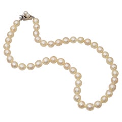 Pendant Necklaces
