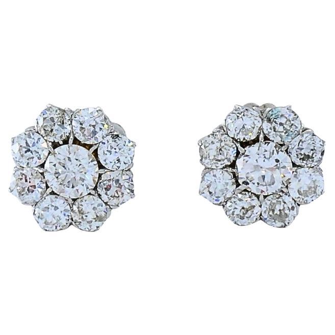 Unknown Stud Earrings