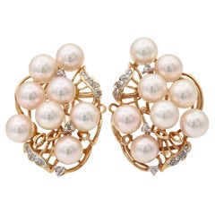 Drop Earrings