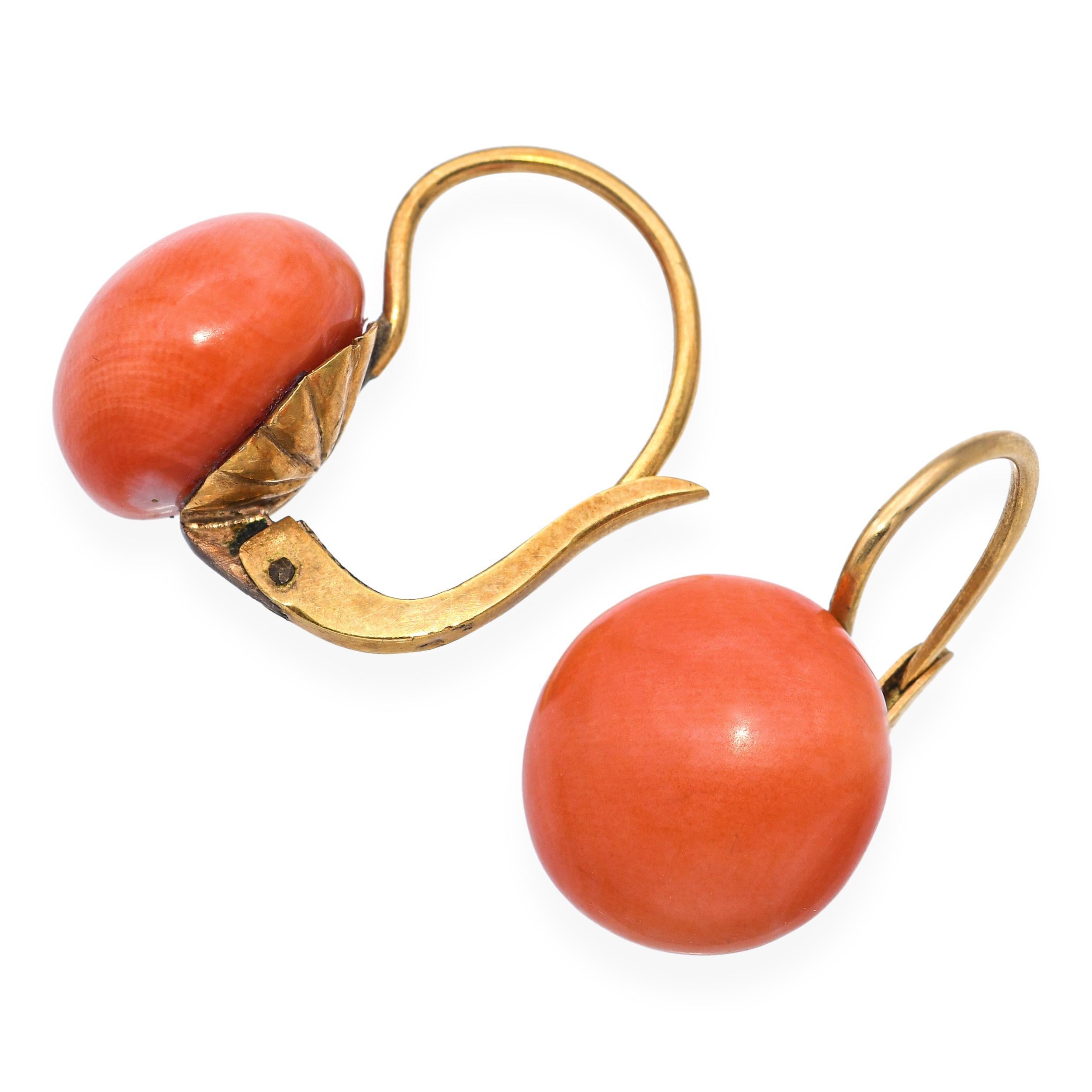Diese eleganten Vintage-Ohrringe sind mit leuchtenden Korallen-Cabochons in warmem 14-karätigem Gelbgold gefasst und bieten eine kühne und doch zeitlose Ästhetik. Die natürliche Koralle zeigt satte, warme Farbtöne - von zartem Lachs bis zu tiefem