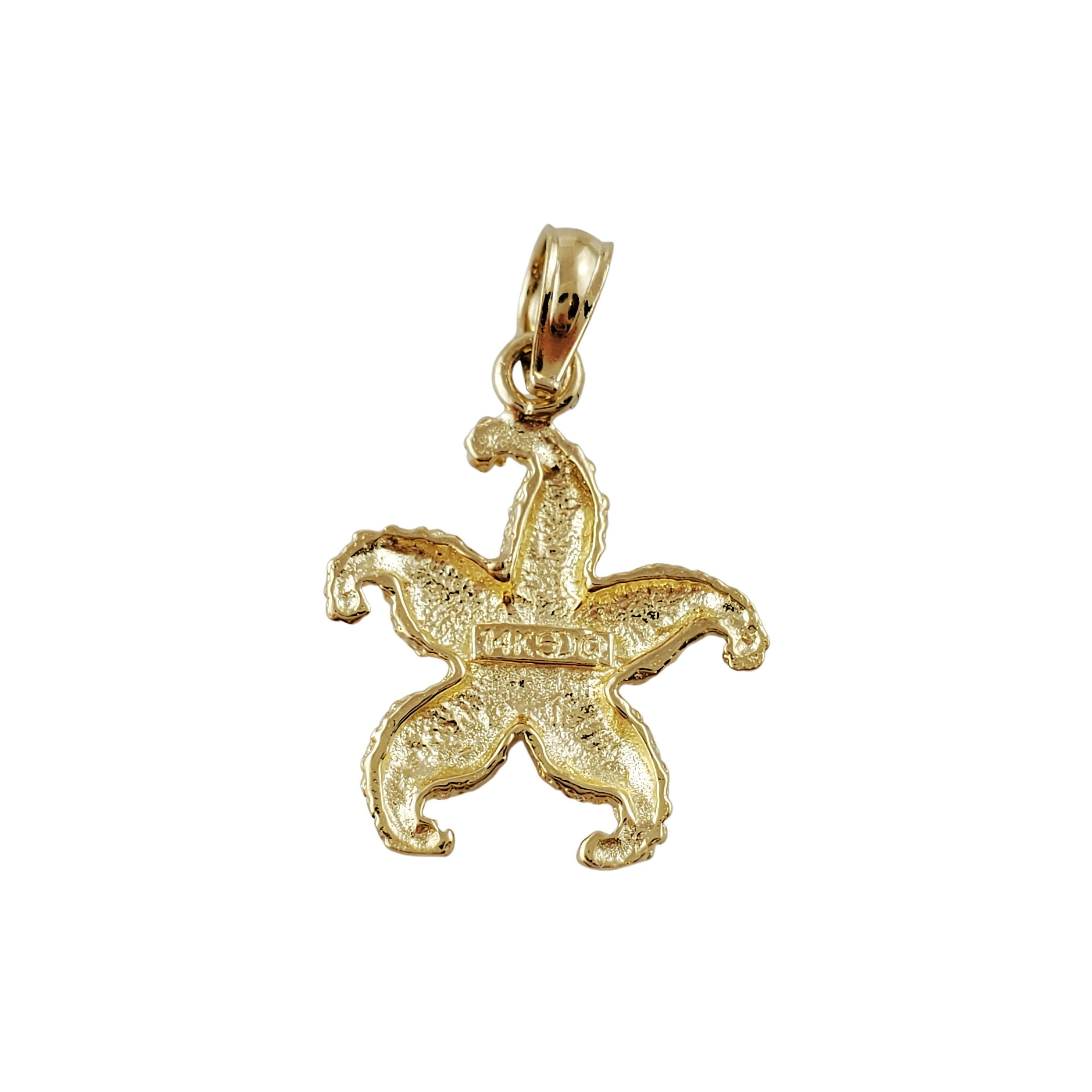 Vintage 14K Yellow Gold Star Fish Charm

Beautiful star fish charm is crafted in 14k yellow gold and includes detailing as far as texture and curvature of the legs depicting a real star fish.

Size: 17mm X 14mm

Weight: 1.10 gr / 0.7 dwt

Hallmark: