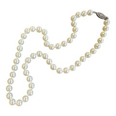 Vintage By 16"  Whiting 6.7mm Akoya Cultured Pearl Strand AAA Quality