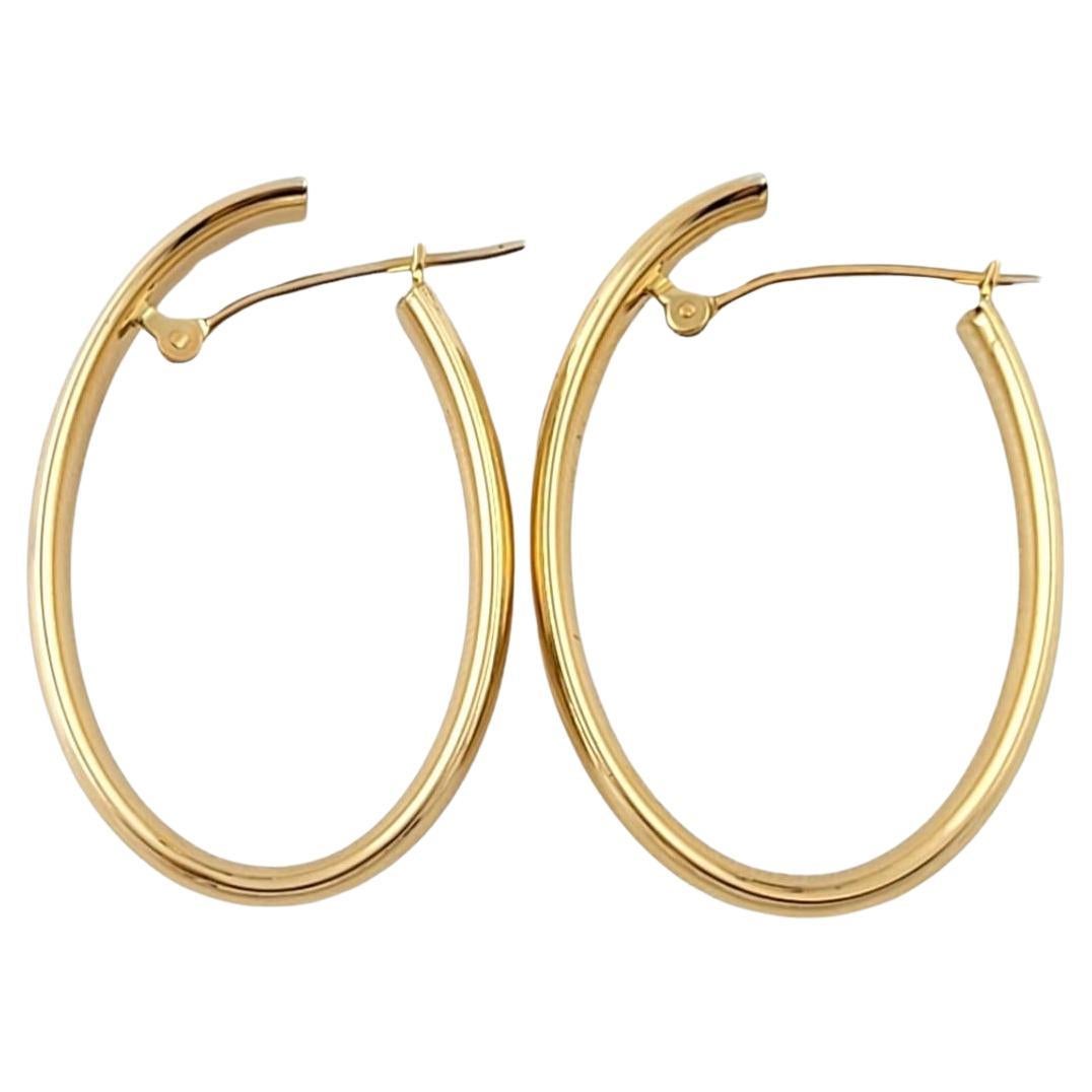 Iolite Oval Hoop Earrings In 18K Yellow Gold main image 1