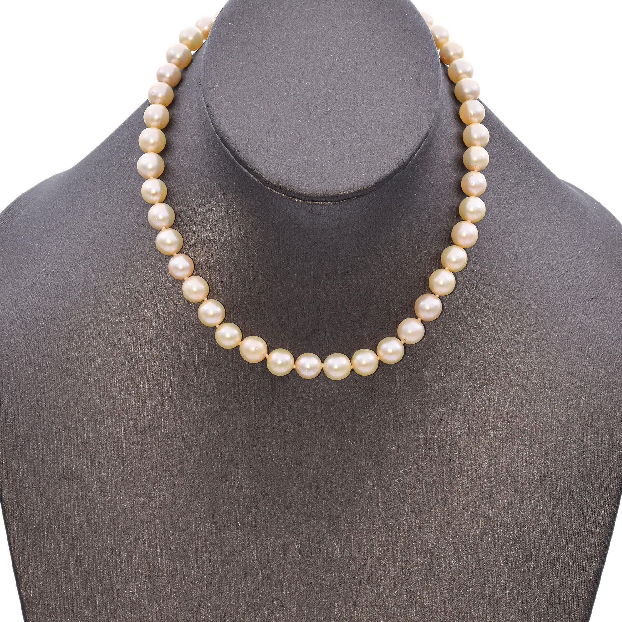 Weight: 36.0 Grams
Stone: Pearl (7.8 - 8.4 mm), Accent Diamond Clasp
Measurements: 387.35 x 8.4 x 8.4 mm
Length: 15.25 Inches
Metal: 18K Gold

ITEM #: BR-1482-121824-17