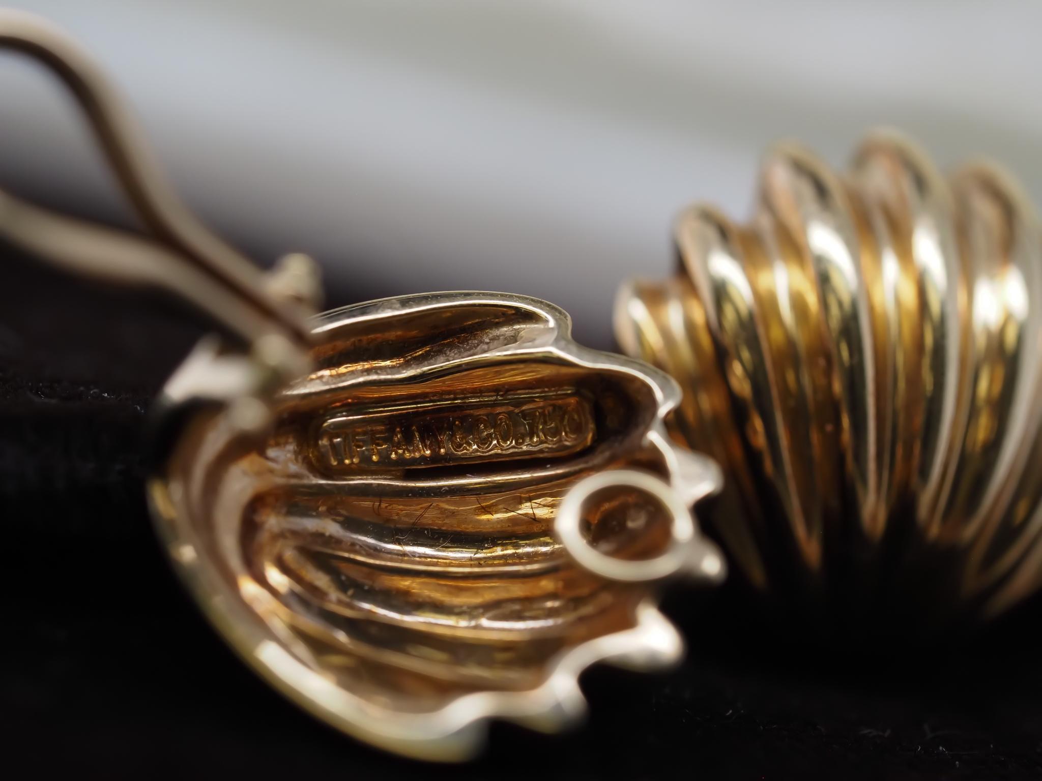 Vintage 18K Yellow Gold Tiffany & Co. Seashell Earrings For Sale 4