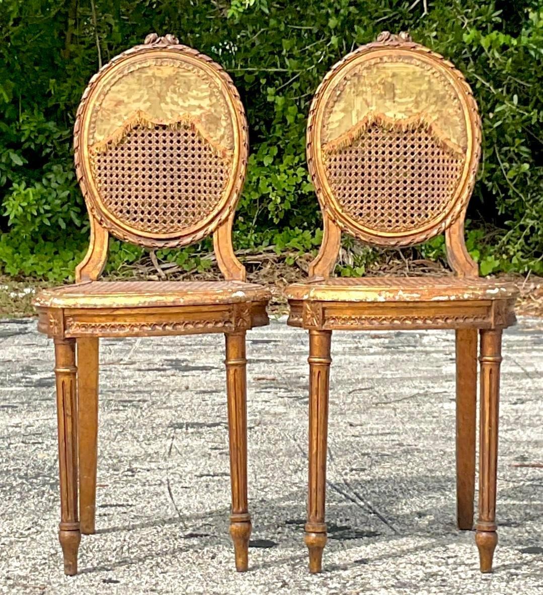 Entra nell'eleganza con le sedie a medaglione in gesso e canna del XVIII secolo. Caratterizzate da intricati dettagli di tappezzeria, queste sedie fondono l'artigianato classico con una raffinatezza senza tempo.