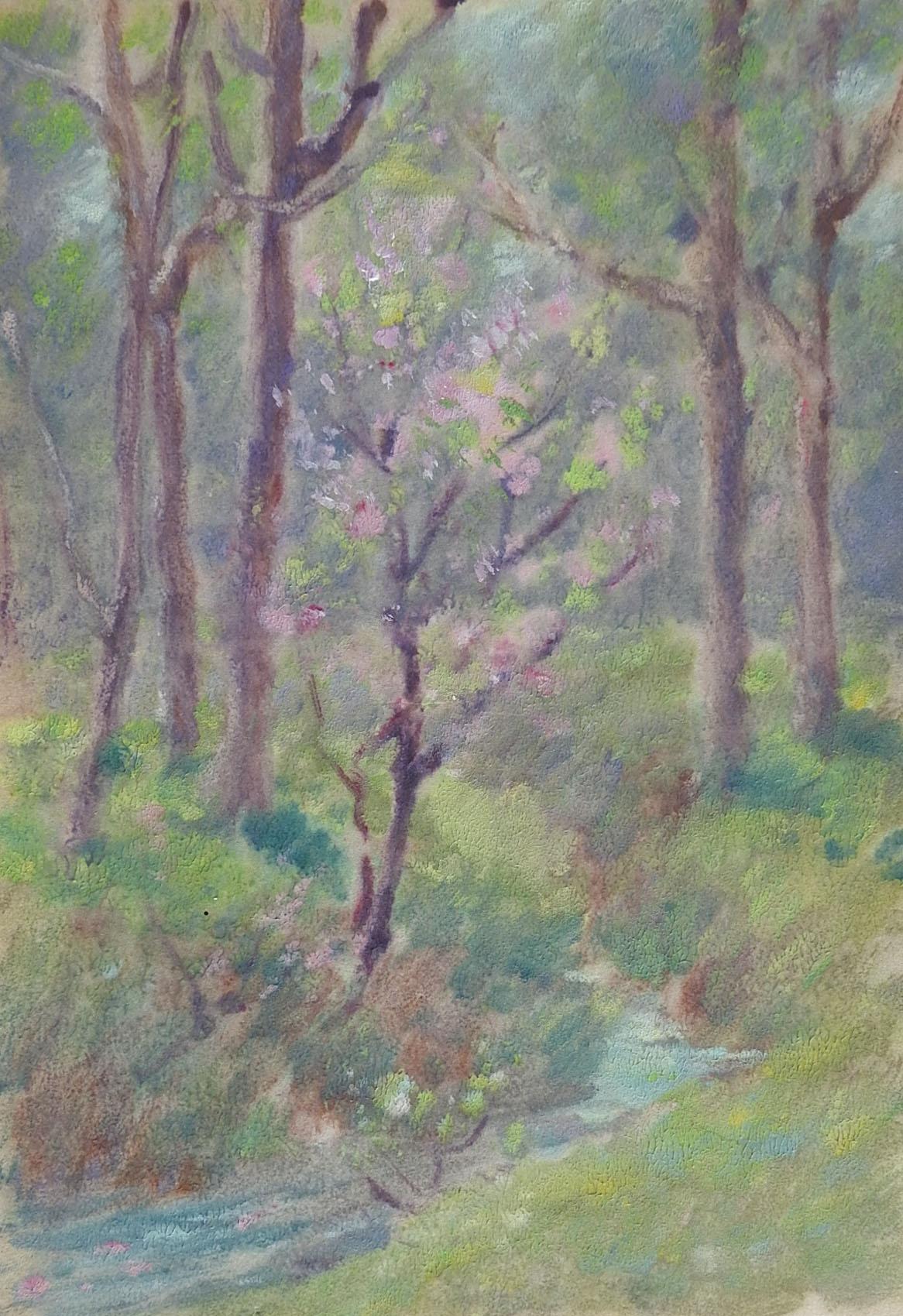 Vintage 1924 oil on paper painting by Dawson Dawson-Watson (1864–1939) early Texas artist. Signed and dated 1924 in pencil lower right margin. Scene is of a small stream among pink flowering trees, thin application on semi translucent tan paper.