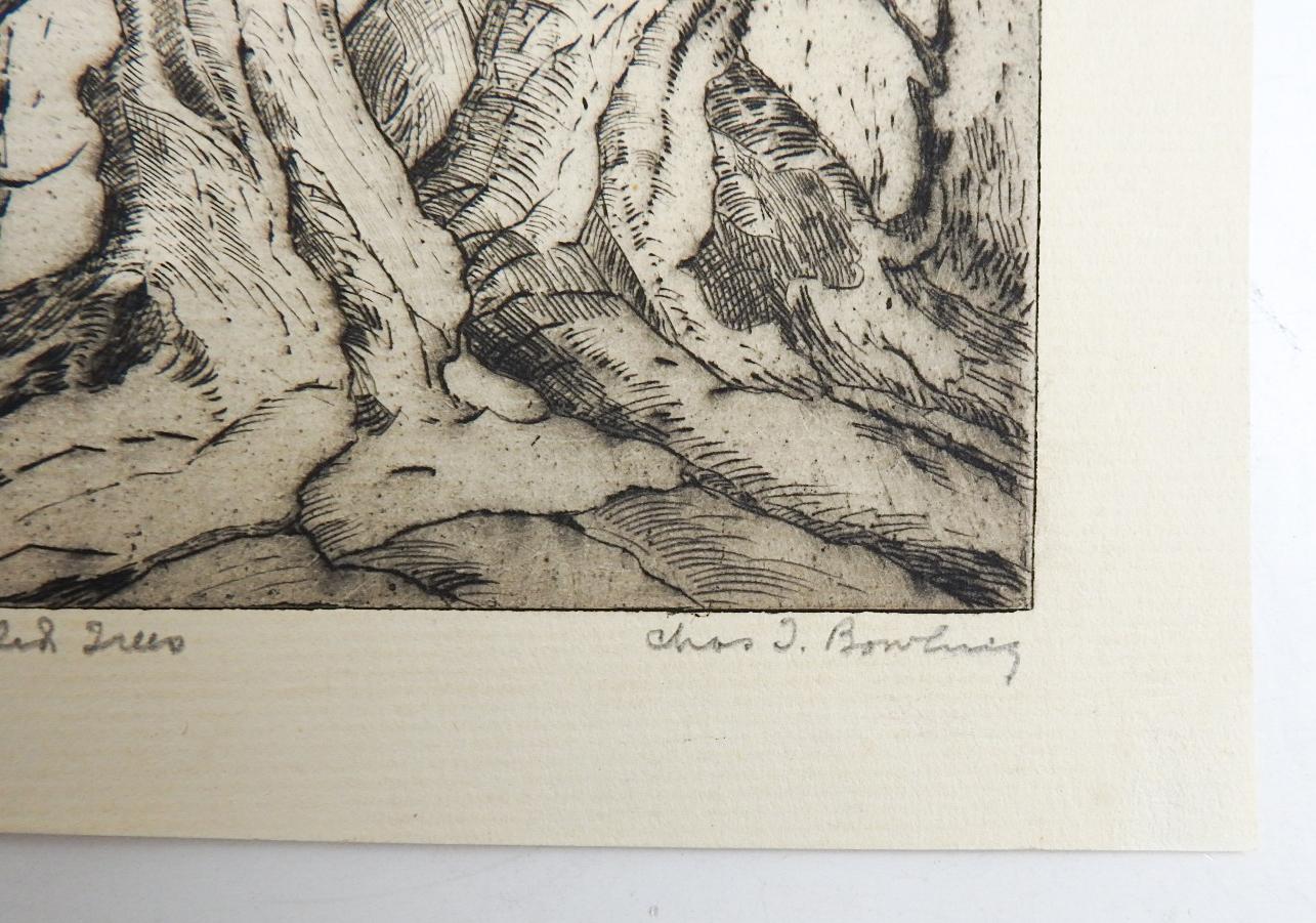 Vintage circa 1930's dry point etching on paper by Charles T. Bowling (1891 - 1985) Texas.  He was active in the pre-World War II group of Regionalist artists known as the Dallas Nine.  Signed and titled Knurled Trees in pencil along lower margin. 