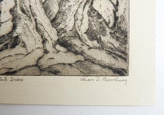 Vintage 1930s Charles Bowling Knurled Trees Dry Point Etching
