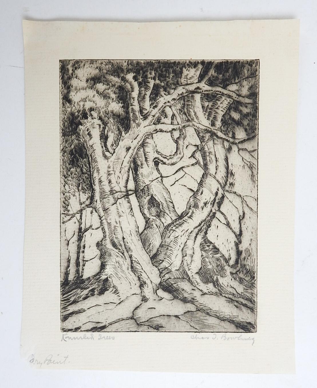 American Vintage 1930s Charles Bowling Knurled Trees Dry Point Etching For Sale