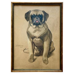 Vintage 1930s Original German Charcoal Drawing of Pug Dog by J. Steinel