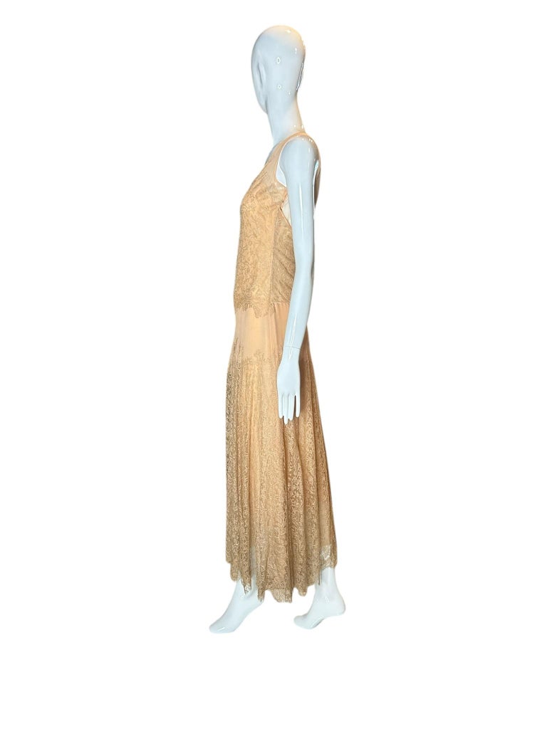 1930s Antique Lace And Silk Chiffon Drop-waist Evening Gown