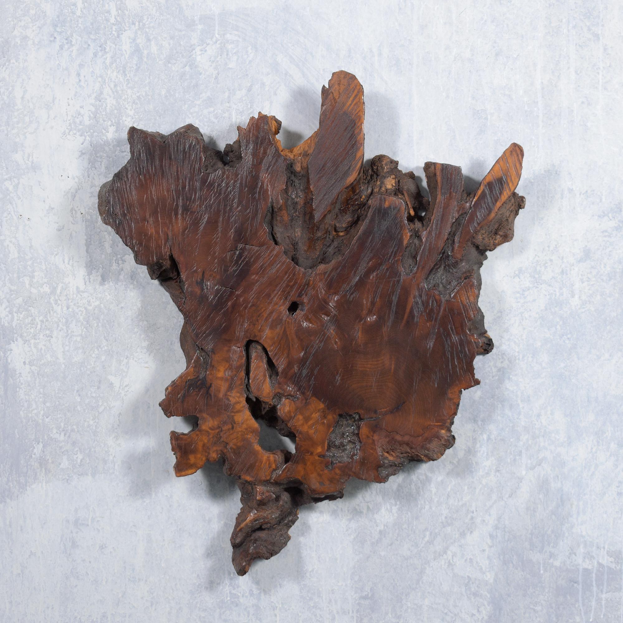 Add a touch of organic elegance to your space with our vintage wall sculpture, masterfully crafted from a solid wood slab. This piece is in great condition, showcasing the timeless beauty and warmth of natural wood.

The sculpture features a natural