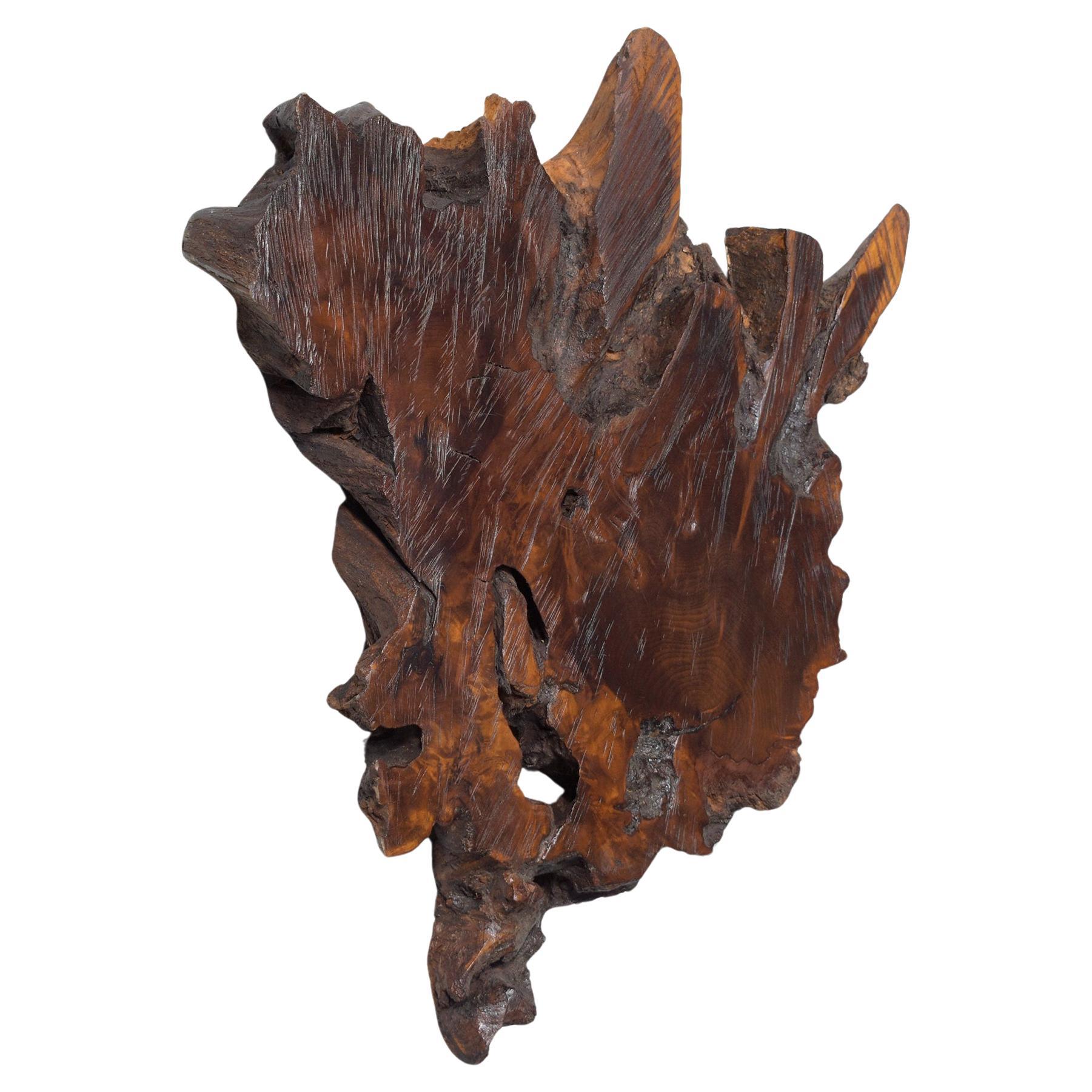 Vintage 1930s Solid Wood Slab Wall Sculpture with Natural Stain & Lacquer Finish For Sale