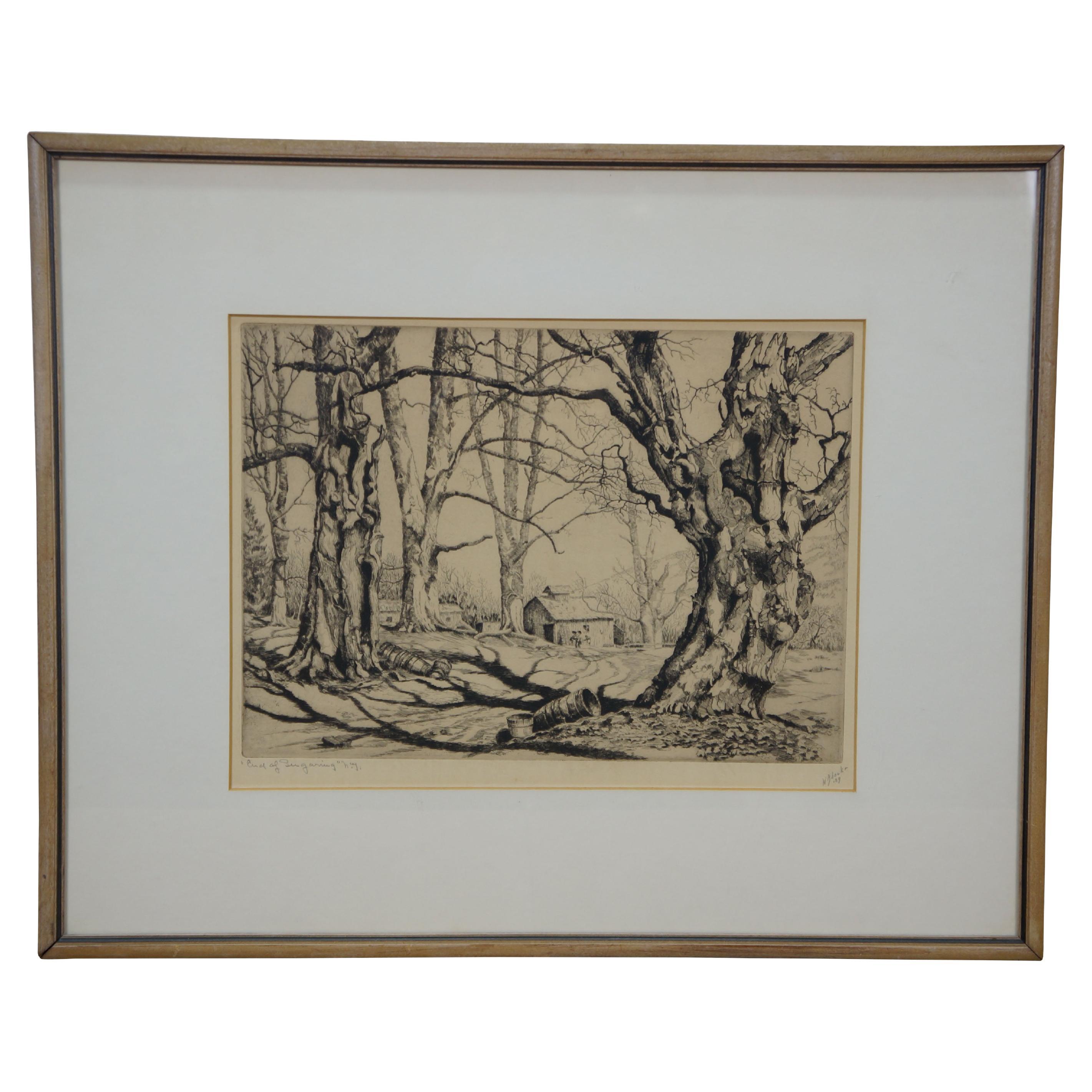 Vintage 1939 Walter Ronald Locke Firmado Fin del árbol de arce azucarero Aguafuerte 21"