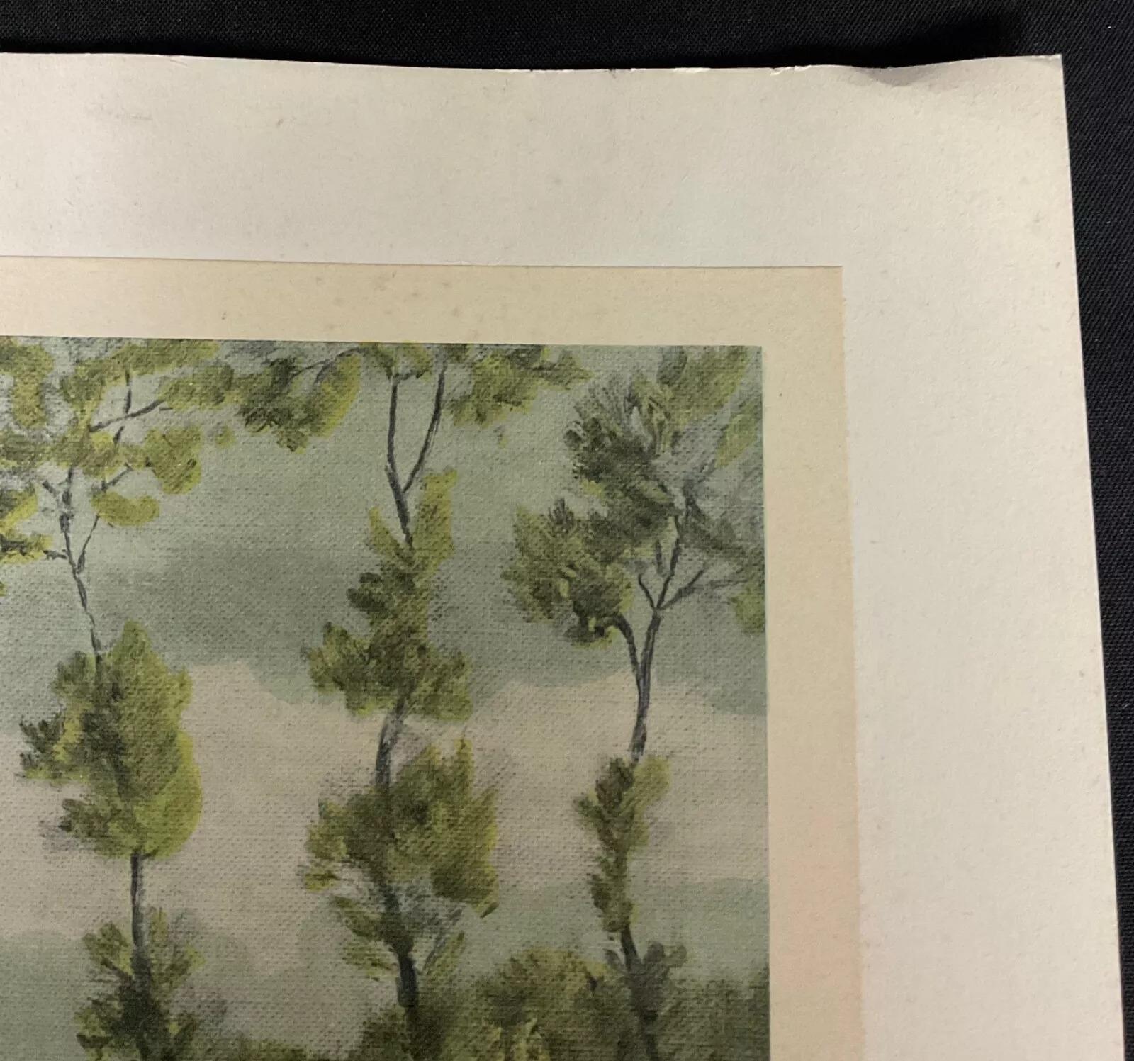 Incisione vintage del 1940 di Robert Denys - 
