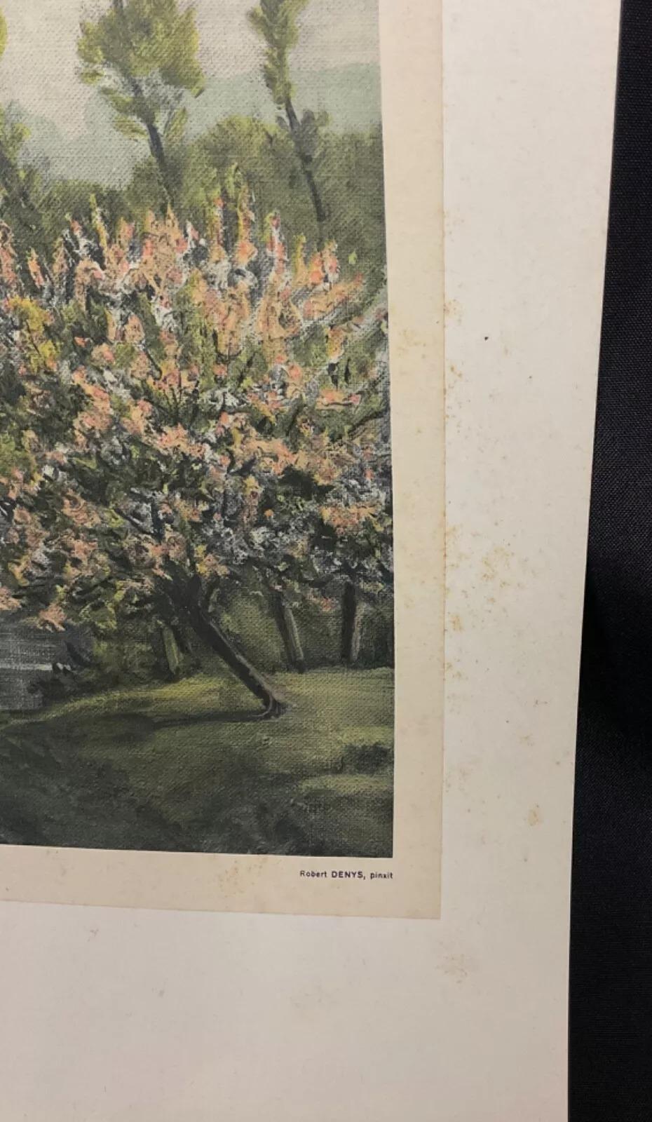 Incisione vintage del 1940 di Robert Denys - 