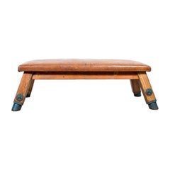 Vintage 1950s Central European Pommel Horse Bench