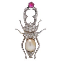 Broche escarabajo vintage de los años 50 con diamantes, rubíes y perlas