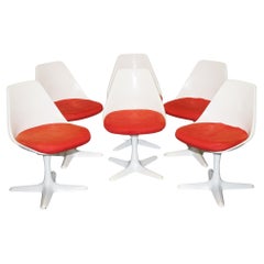Dining Room Chairs