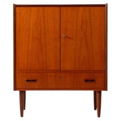 Vintage 1960s Danish Teak Cabinet with Drawer