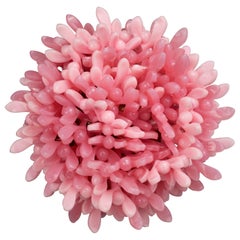 Vintage 1966 CHRISTIAN DIOR Large Pink Resin Coral Brooch
