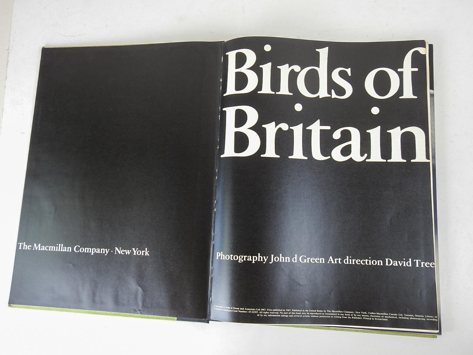 Mid-Century Modern Vintage 1967 John Greens Birds of Britain Portrait Photographs Book For Sale