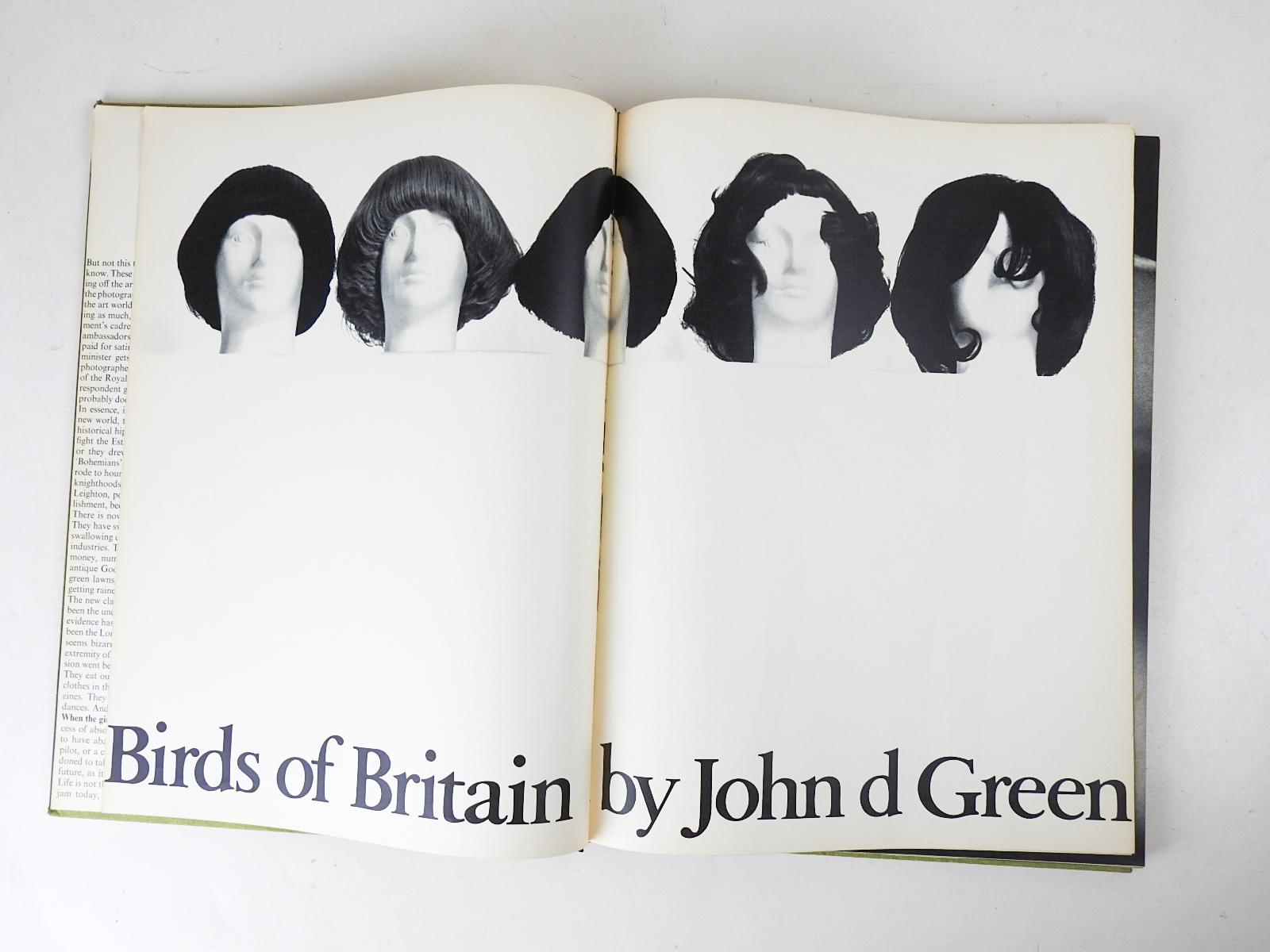 American Vintage 1967 John Greens Birds of Britain Portrait Photographs Book For Sale