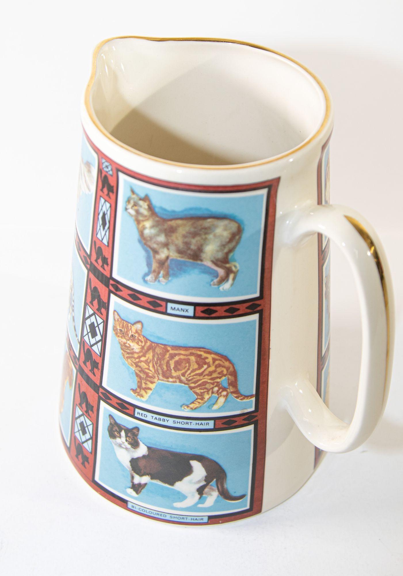 Vintage 1970s Ceramic Pitcher, Derbyshire England with Cat Breeds Pictures 13