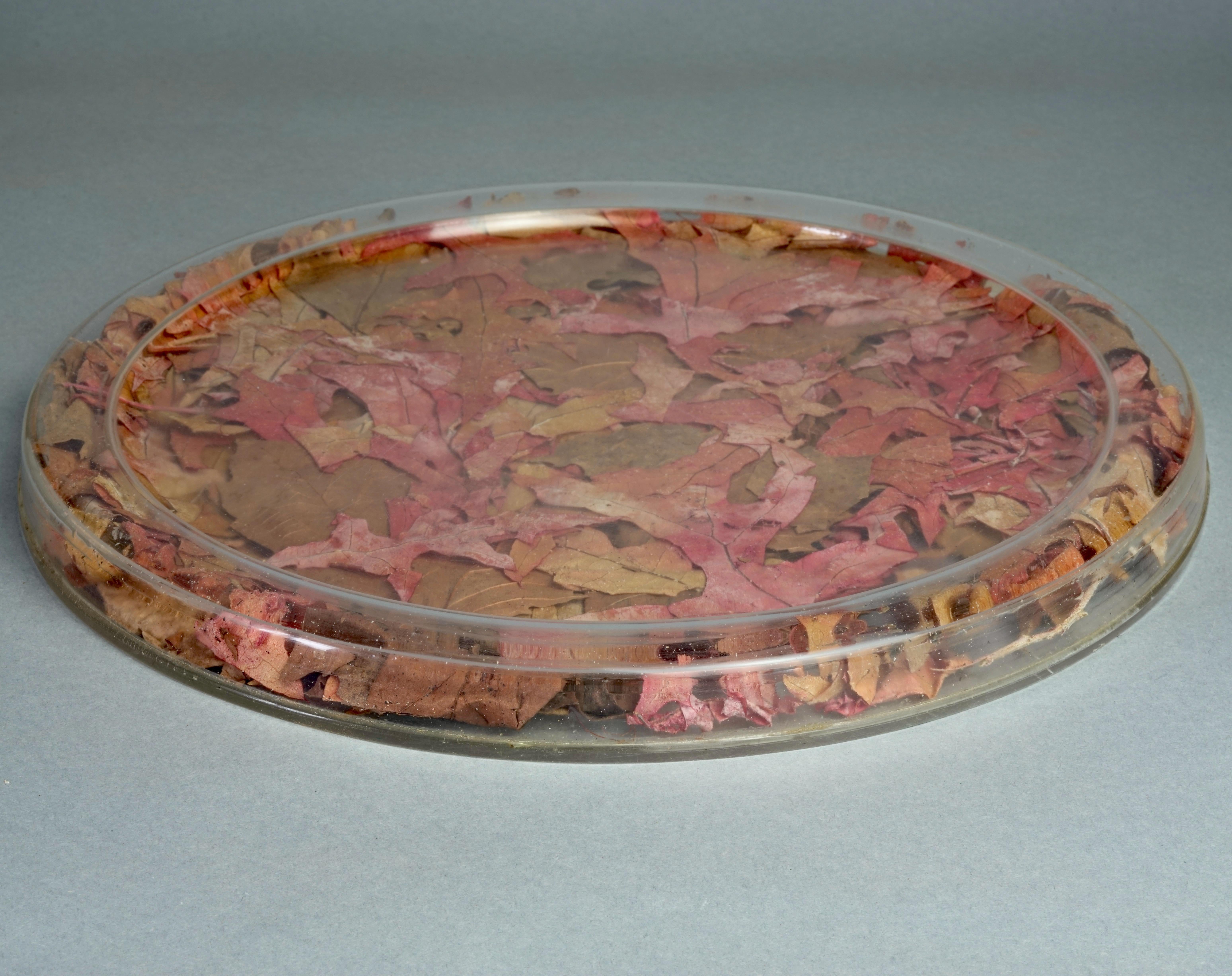 Vintage 1970s CHRISTIAN DIOR Autumn Leaves Lucite Serving Tray

Measurements:
Diameter: 12.99 inches (33 cm)
Thickness: 0.98 inch (2.5 cm)

Features:
- 100% Authentic CHRISTIAN DIOR.
- Lucite tray with real dried autumn leaves inside.
- Signed