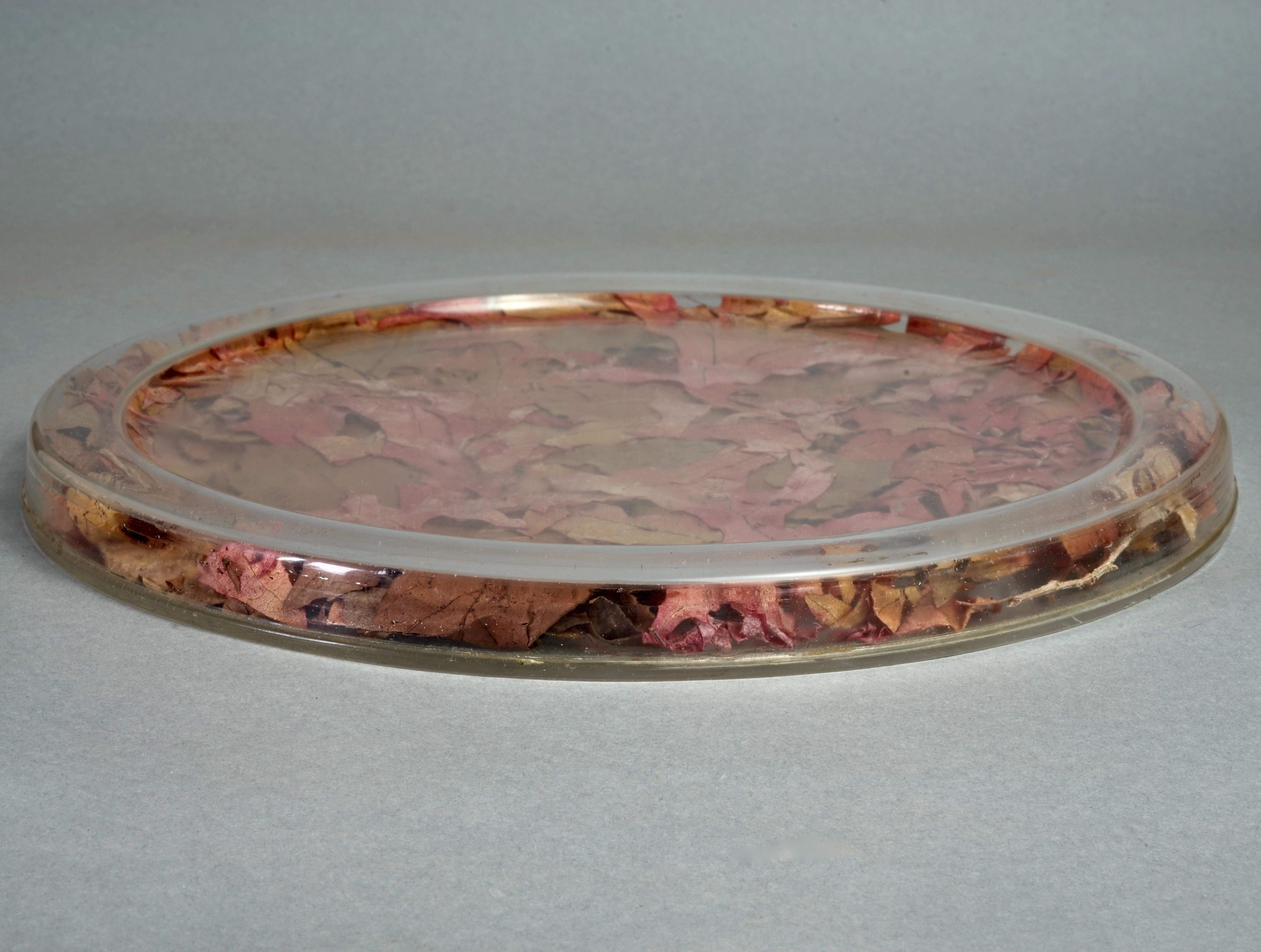 Brown Vintage 1970s CHRISTIAN DIOR Autumn Leaves Lucite Serving Tray For Sale