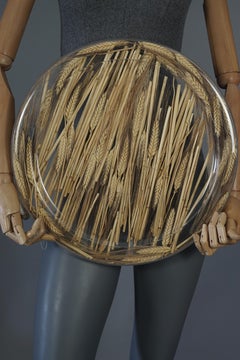 Vintage 1970s CHRISTIAN DIOR Wheat Lucite Serving Tray