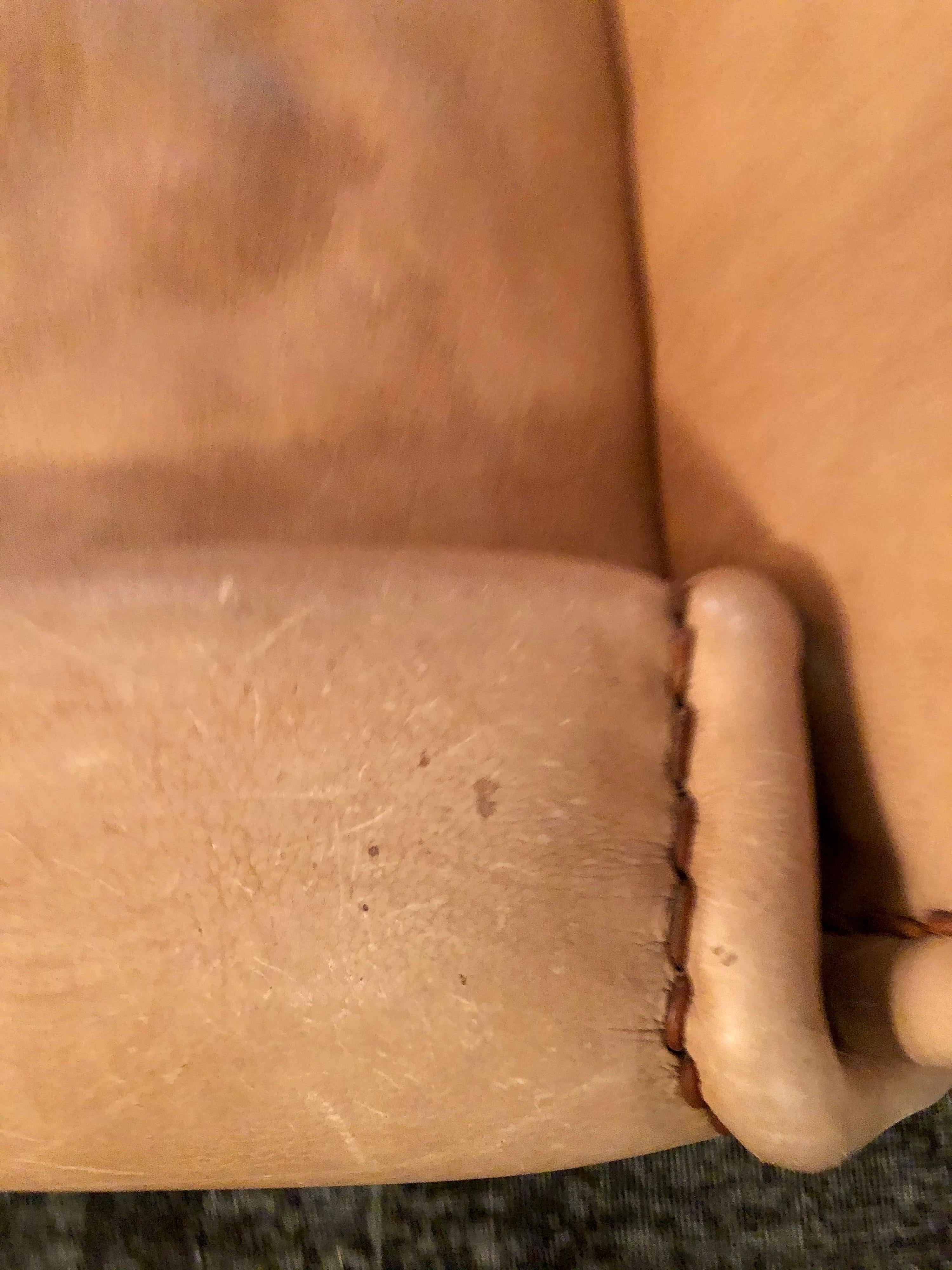 Late 20th Century Vintage 1970s De Sede DS-1010 'Sitting Bull' Nude Buffalo Leather Sofa