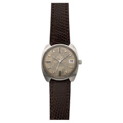 Vintage 1970s Omega Seamaster Cosmic 166.022 Steel Auto Tropical Dial 35mm