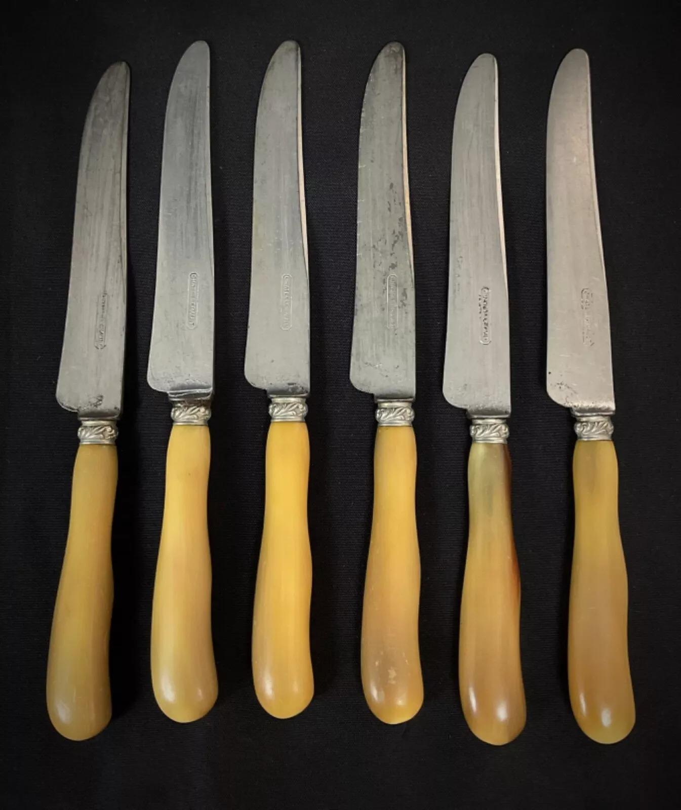 Set di 12 coltelli 