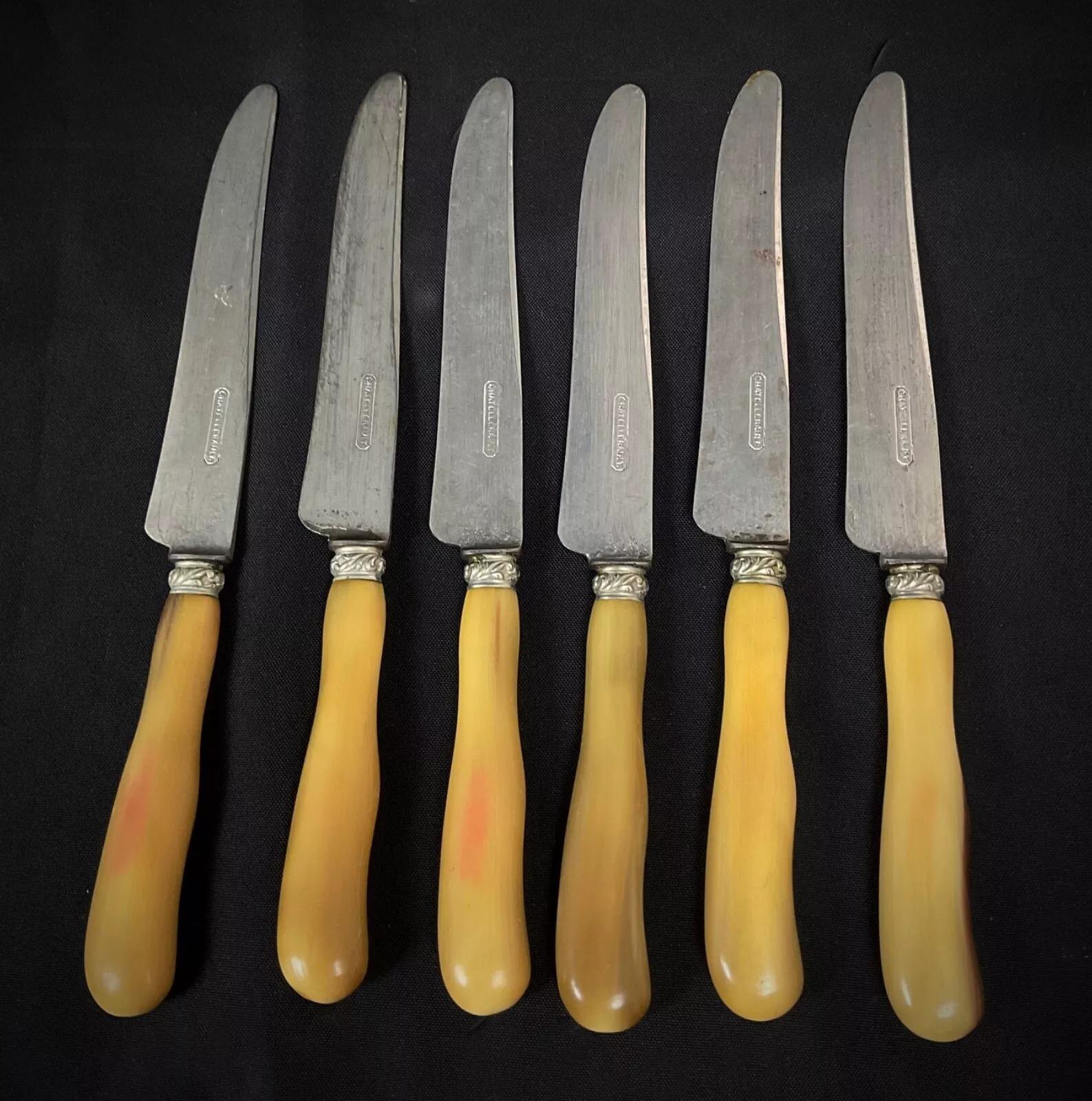 Set di 12 coltelli 