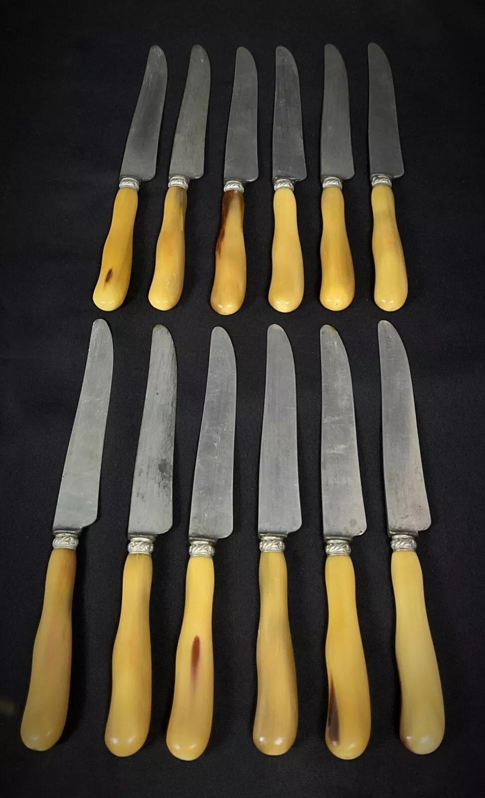 Set di 12 coltelli 