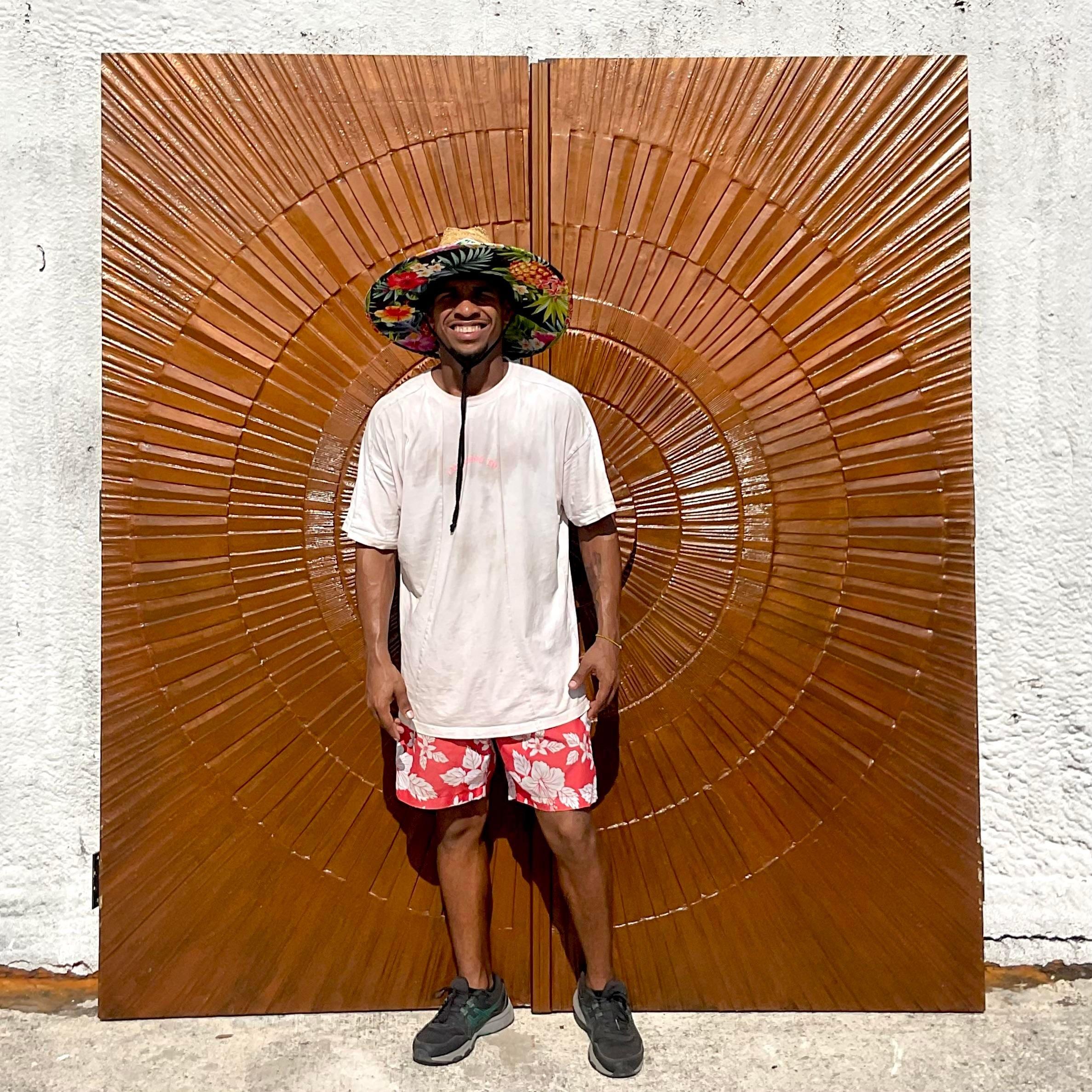 20th Century Vintage 1971 Boho “Heroic Sunburst” Bronzed Resin Over Wood Doors - a Pair For Sale