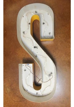 Vintage 1977 Architectural Salvage Sign Letter "S" Off  Children's Hospital