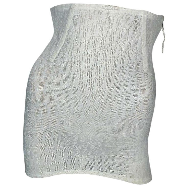 dior sheer skirt