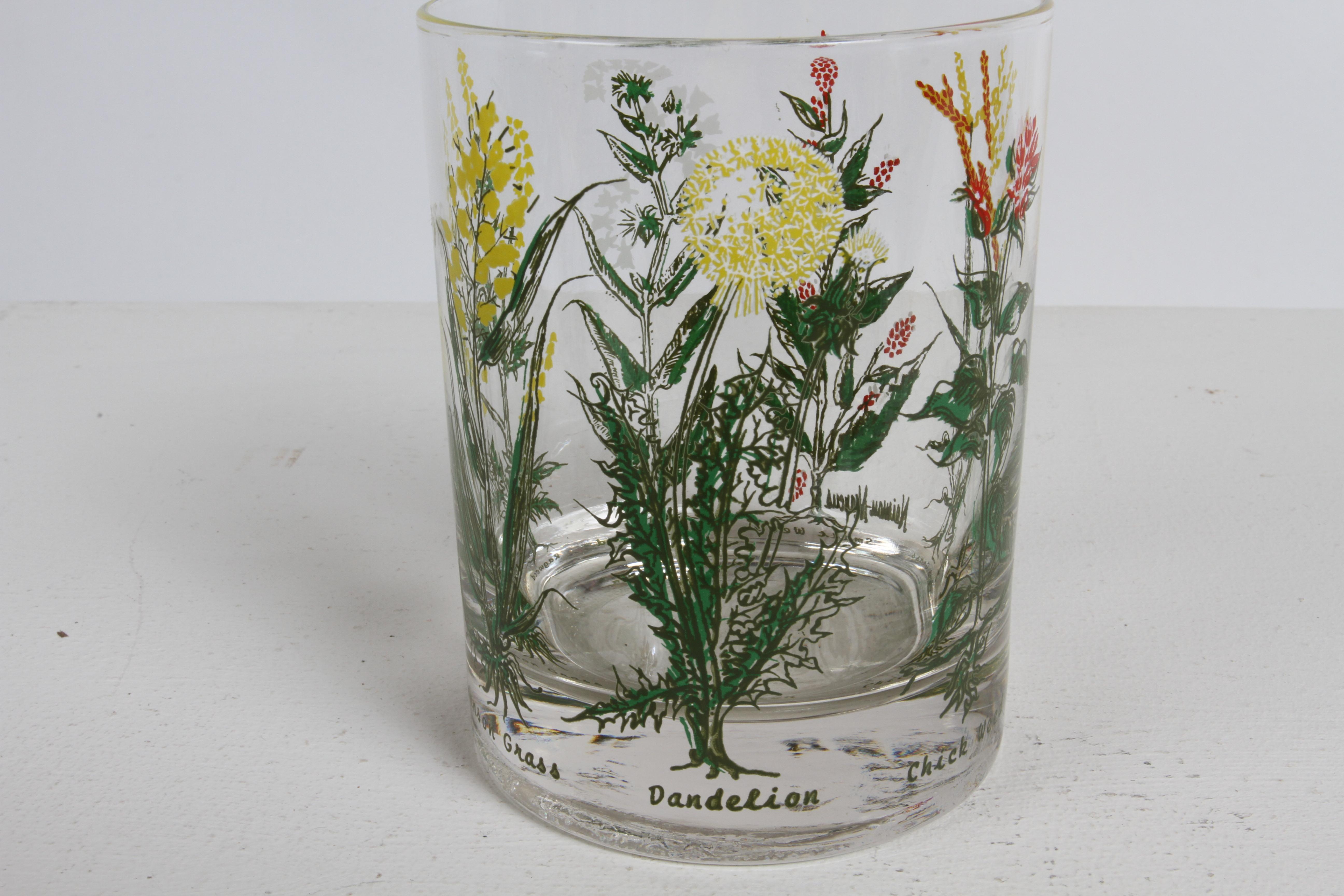 Vintage 1980s Neiman-Marcus Botanical Grasses Theme Bar Rocks Glasses Set of 6 5