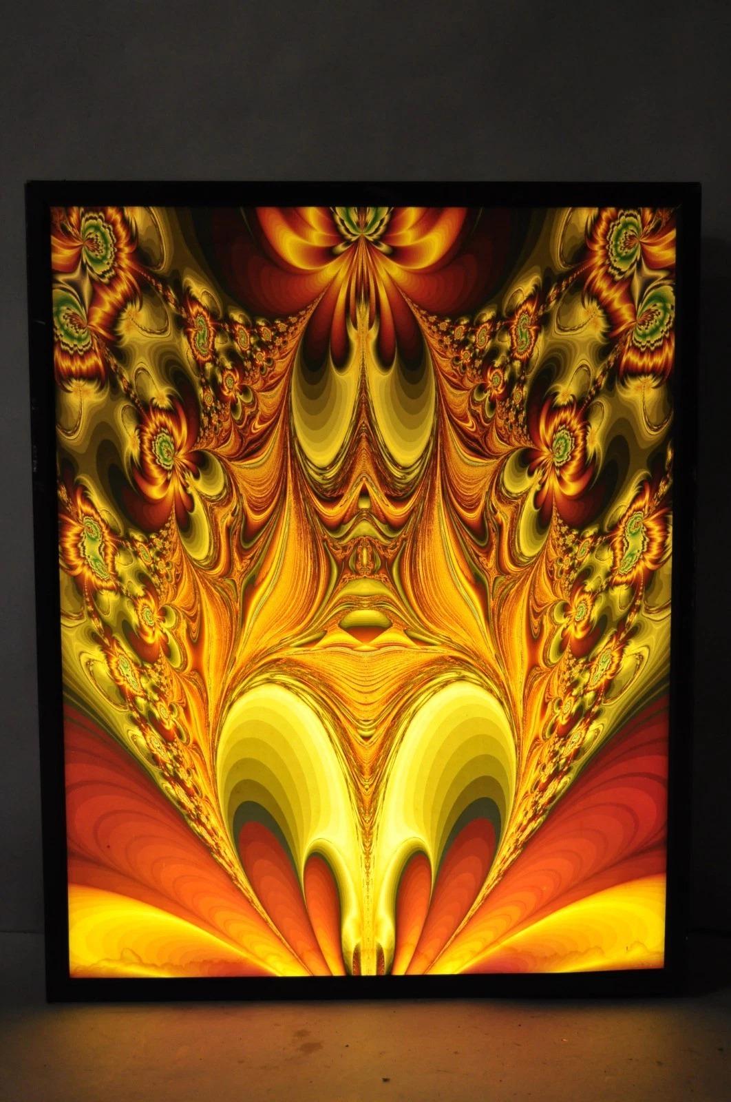 Vintage 1990 Illuminated Shadowbox Psychedelic Metal Framed Poster 30 x 24 Wall Art. L'article prend 4 ampoules fluorescentes (2 sur la photo mais les 4 fonctionnent). Circa Late 20th Century. Dimensions : 30