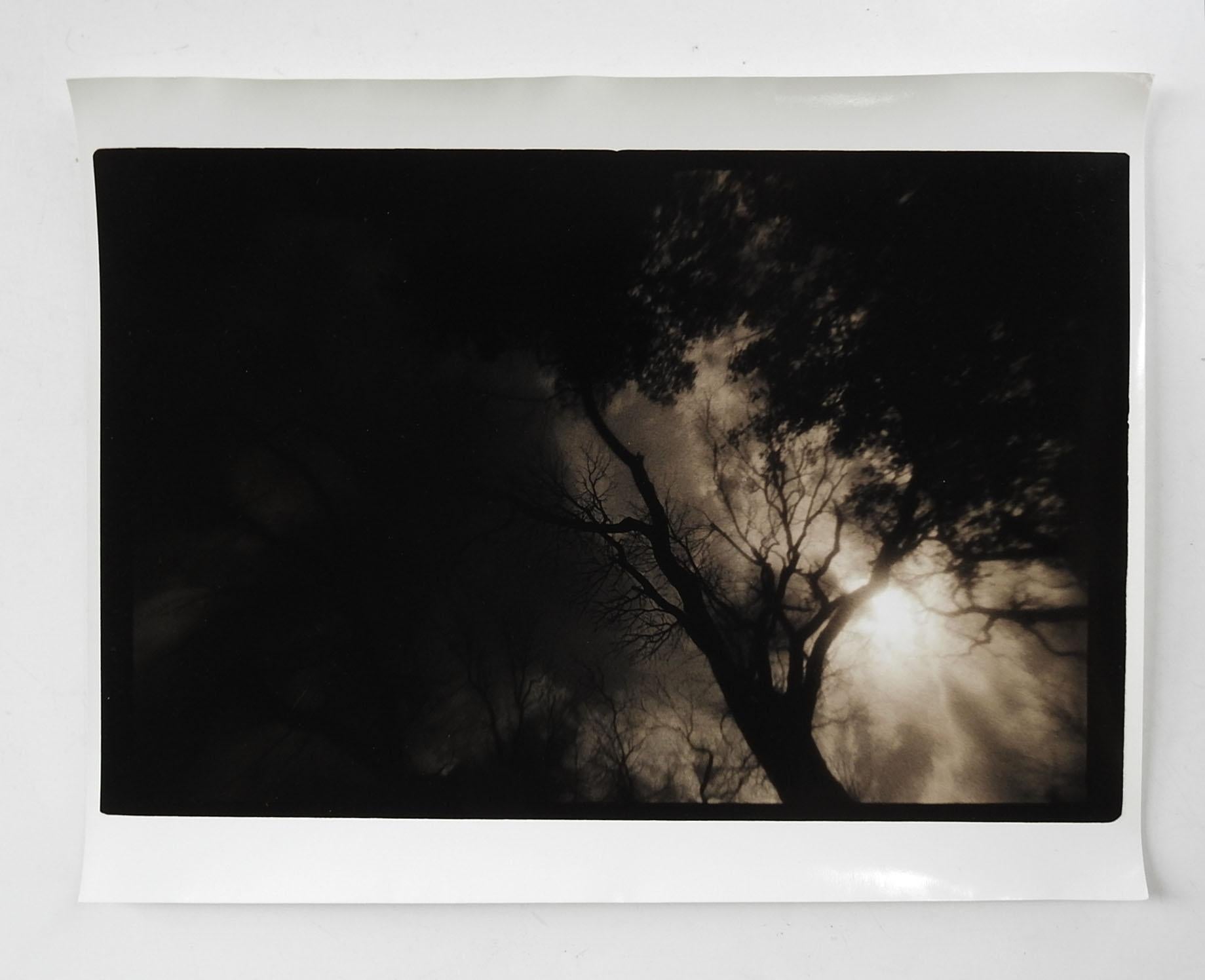 Vintage circa 1990's photograph on heavy paper by Eric C. Weller (20th century) Texas. Dark sepia toned semi glossy photograph of sun through tree canopy. Unsigned, Eric Weller was a professor of photography at Texas State University, from the