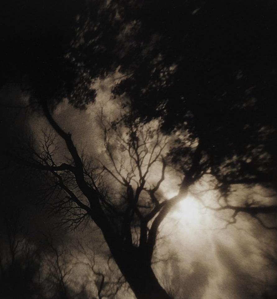 American Vintage 1990's Sepia Toned Moody Sun & Tree Photograph For Sale