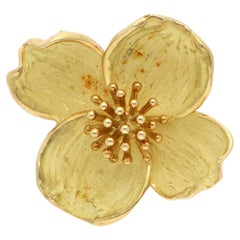 Vintage 1990er Jahre Tiffany & Co. Hundsbaumblüten-Brosche aus Gelbgold