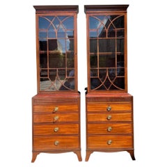 Vintage 19th Century George 111 Diminutive Cabinets - A Pair