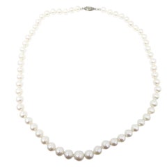 Vintage 19.5" South Sea Pearl Necklace in Sterling Silver